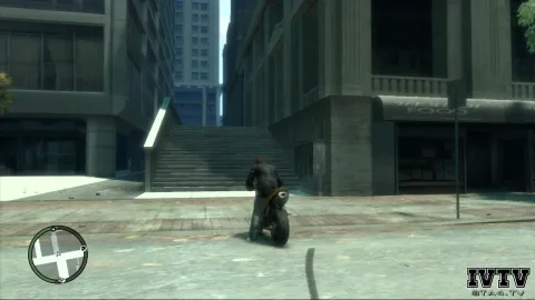 Unique Jump #42