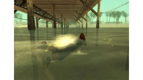 Under the Pier
