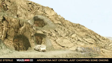Caves Of Course
