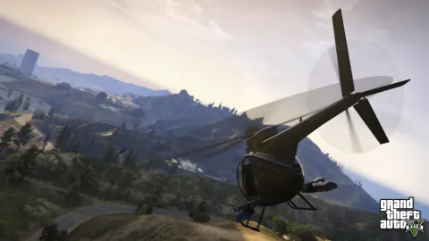 Buzzard swoops into Vinewood