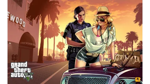 Stop and Frisk