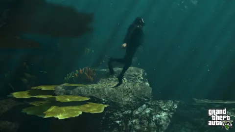 Exploring the bottom of the seas