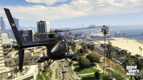 Buzzard heads to the beach
