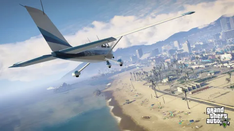 Dodo flies down the beach