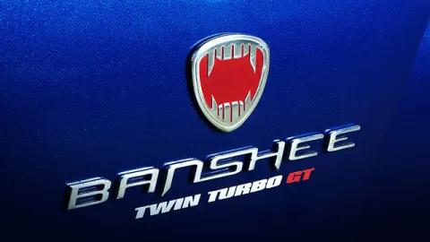Real Life Bravado Banshee Badge