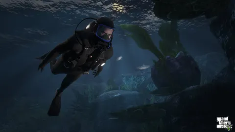 Searching under the water