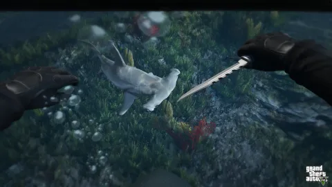 (First-person) Cutting the sides off a hammerhead