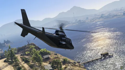 Swift flying over Alamo Sea