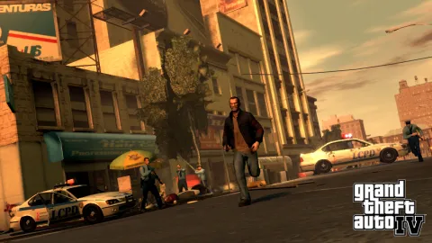 Niko on the run...again!