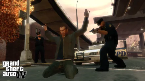 Niko under arrest.
