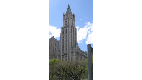 The Woolworth Building