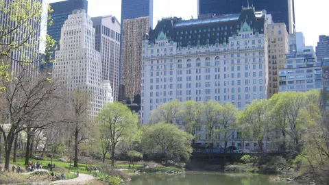The Plaza Hotel