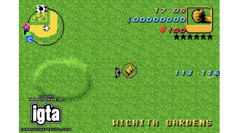 GTA Advance Hidden Package 100