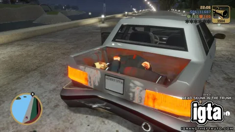 GTA 3 Dead Skunk In The Trunk 10