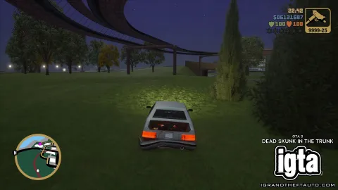 GTA 3 Dead Skunk In The Trunk 12