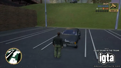 GTA 3 Dead Skunk In The Trunk 4