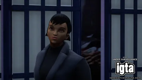 GTA 3 Under Surveillance 2