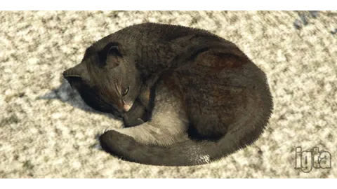 GTA 5 Animal Cat