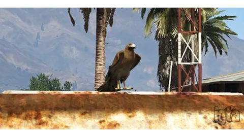 GTA 5 Animal Chicken Hawk