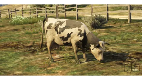 GTA 5 Animal Cow