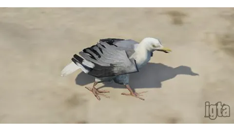 GTA 5 Animal Seagull