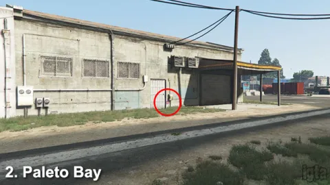 GTA 5 Monkey Mosaics 2