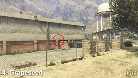 GTA 5 Monkey Mosaics 4