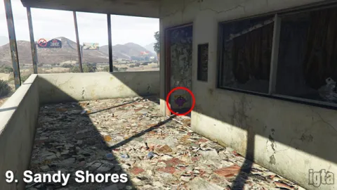 GTA 5 Monkey Mosaics 9