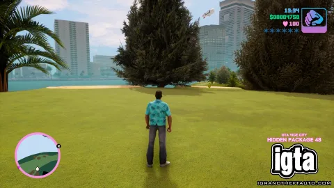 GTA Vice City Hidden Package 48