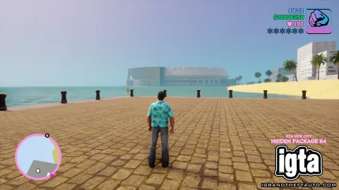 GTA Vice City Hidden Package 64