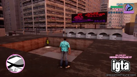 GTA Vice City Hidden Package 67