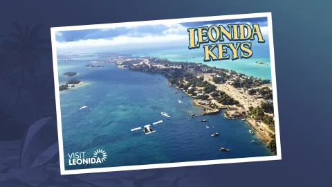 Leonida Keys Postcard Landscape