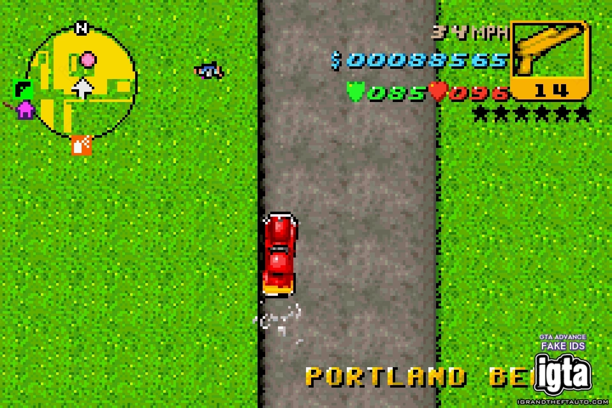 GTA Advance Fake Ids 4