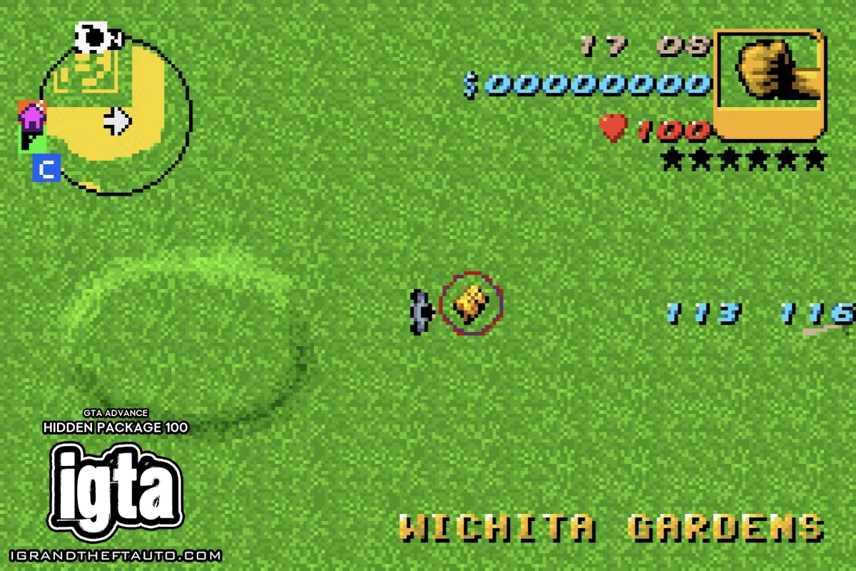 GTA Advance Hidden Package 100