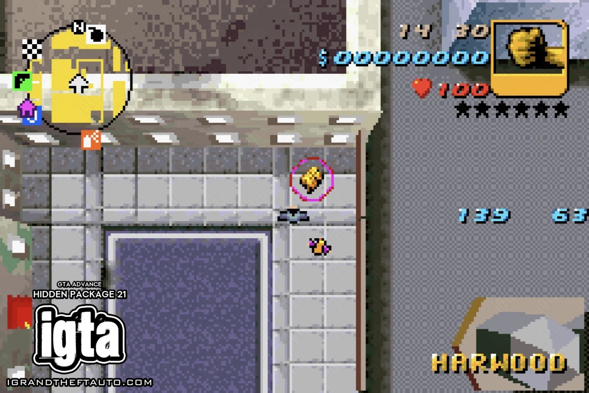 GTA Advance Hidden Package 21