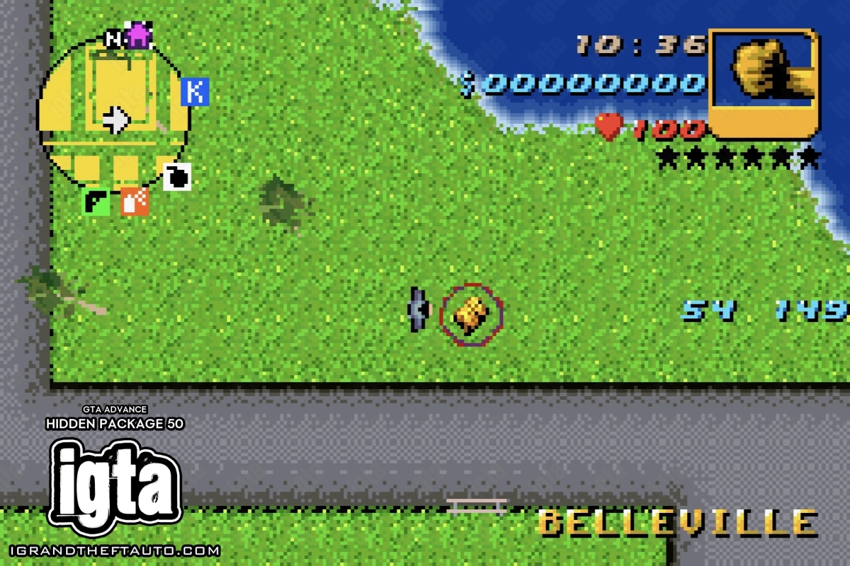 GTA Advance Hidden Package 50