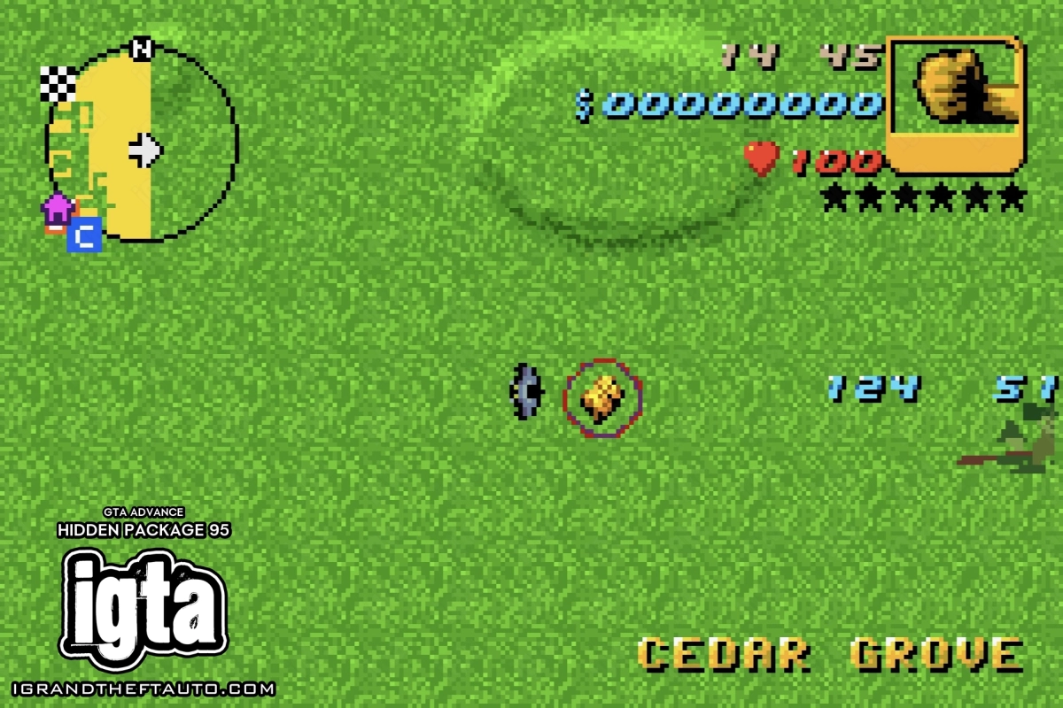 GTA Advance Hidden Package 95
