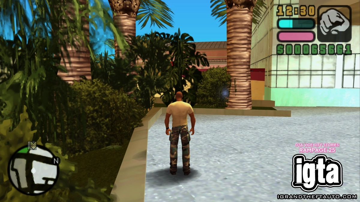 GTA Vice City Stories Rampage 25 1