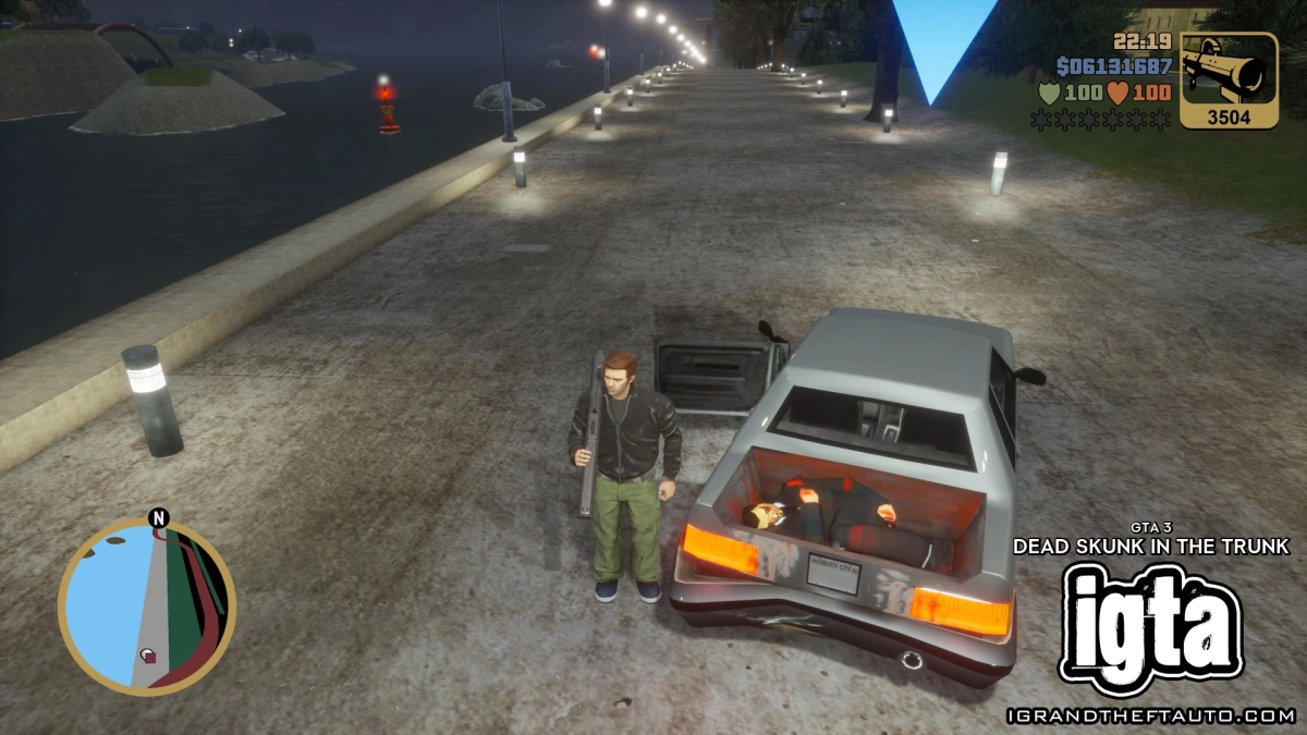 GTA 3 Dead Skunk In The Trunk 11