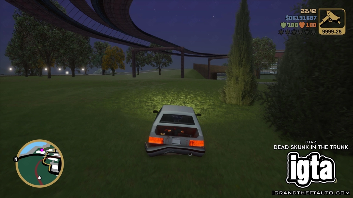 GTA 3 Dead Skunk In The Trunk 12
