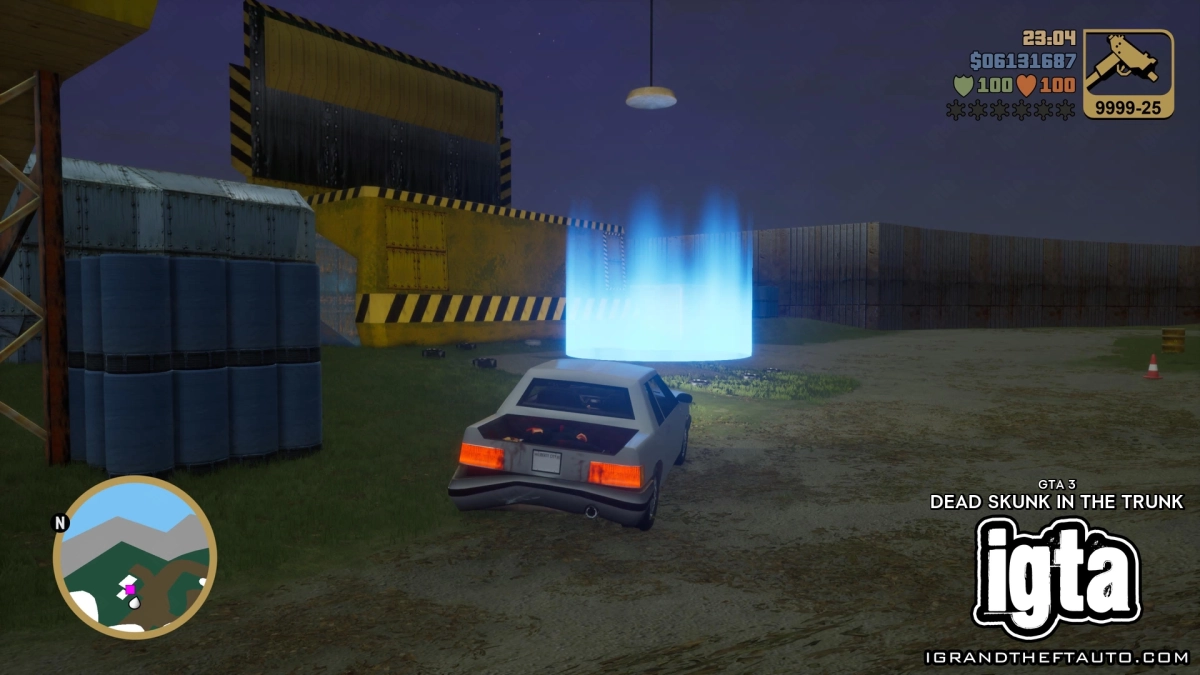 GTA 3 Dead Skunk In The Trunk 13