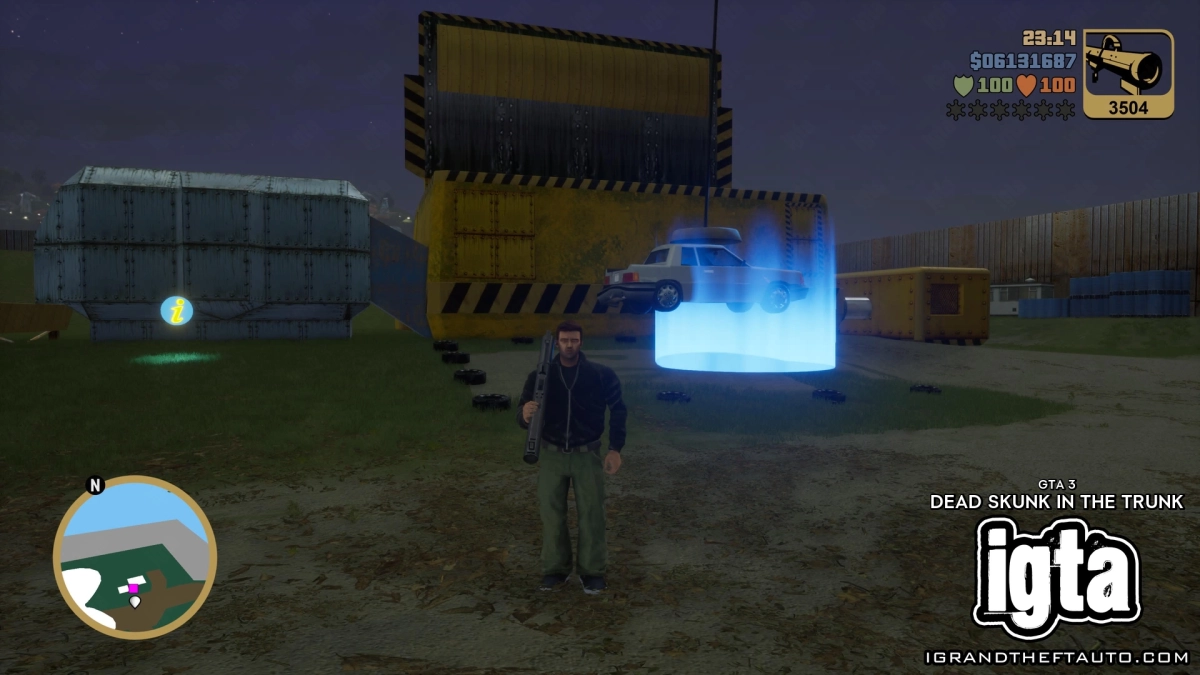 GTA 3 Dead Skunk In The Trunk 15