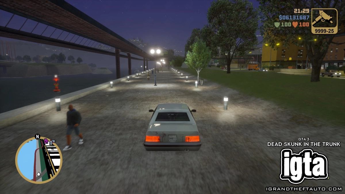 GTA 3 Dead Skunk In The Trunk 9