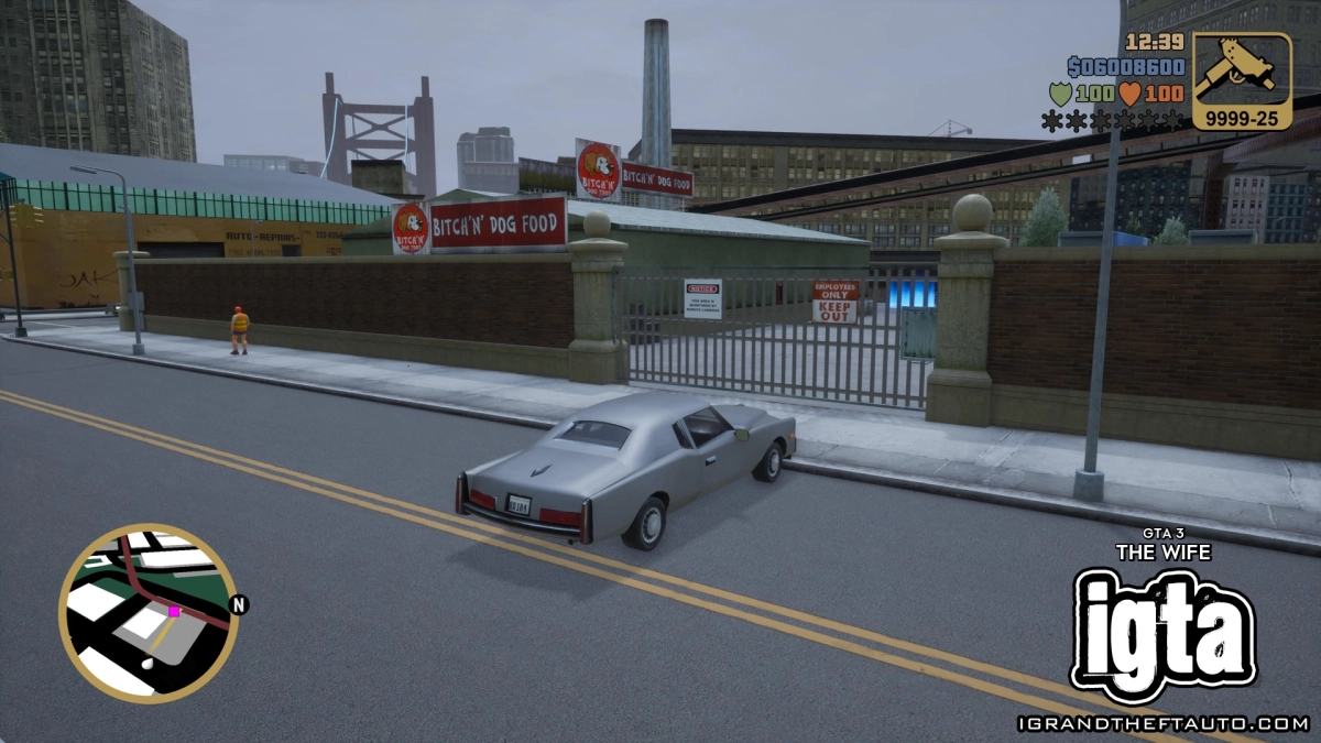 GTA 3 The Wife 8