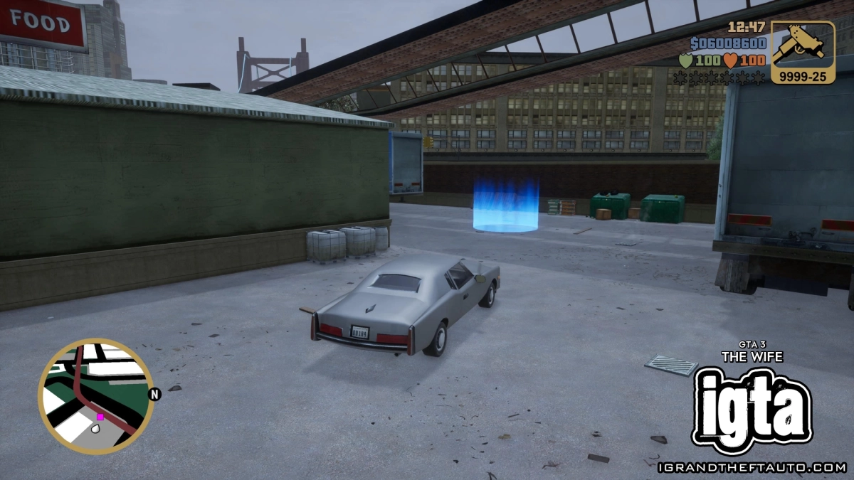 GTA 3 The Wife 9