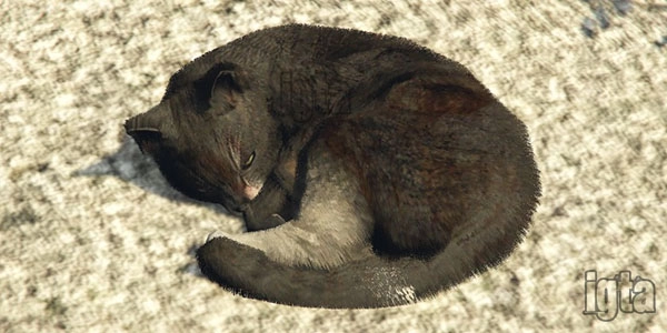GTA 5 Animal Cat
