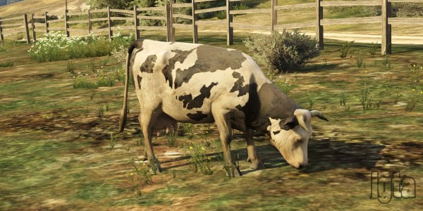 GTA 5 Animal Cow