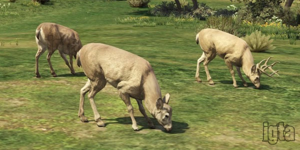 GTA 5 Animal Deer