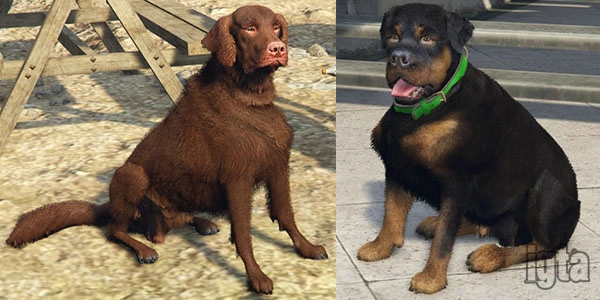 GTA 5 Animal Dogs 1