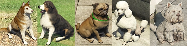 GTA 5 Animal Dogs 2